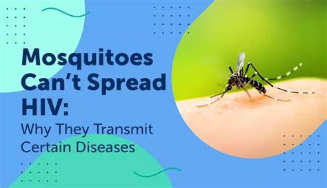 Why Mosquitoes Cannot Transmit HIV & Diseases Mosquitoe…