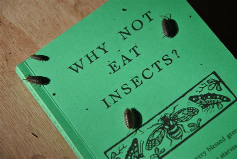 Why Not Eat Insects