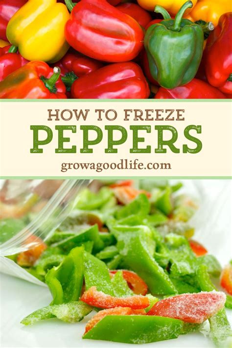 Why Peppers Are One of The Best Veggies to Freeze