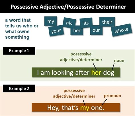 Why Possessives Matter