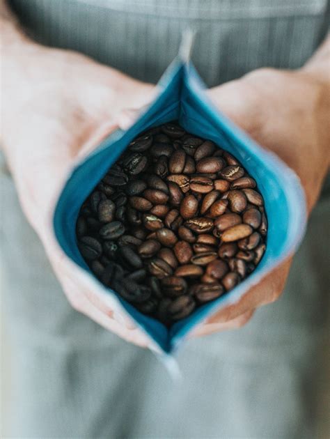 Why Shade Grown Bird Friendly Coffee Should Be Your Go To Cup