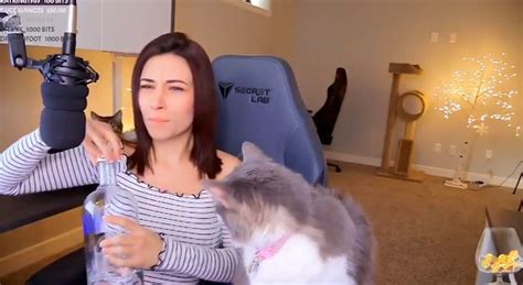 Why TWITCHISOVERPARTY Is Trending On Twitter 