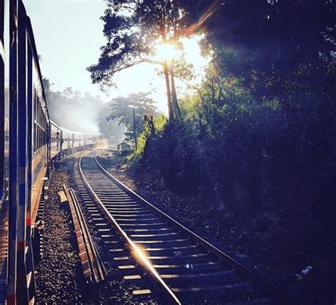 Why Traveling By Train Is Environmentally Friendly