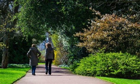 Why Walking is Popular Again