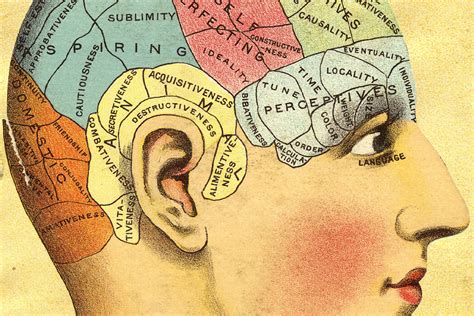 Why Was Phrenology Extremely popular in Victorian Occasions?