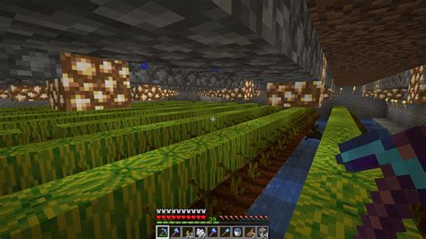 Why Wont My Melons Grow In Minecraft? - Mastery Wiki