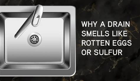 Why a Drain Smells Like Rotten Eggs or Sulfur - Mr. Rooter Plumbing