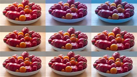 Why and How to White Balance for Video Artlist