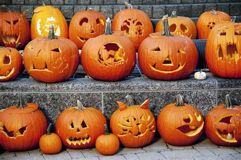 Why are jack-o'-lanterns made from pumpkins?