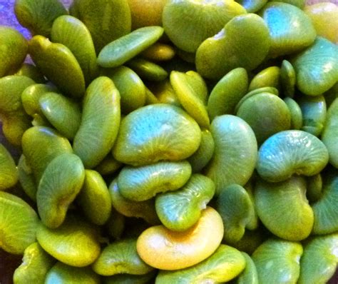 Why is Lima Beans (Large) better than Kidney Beans? 2