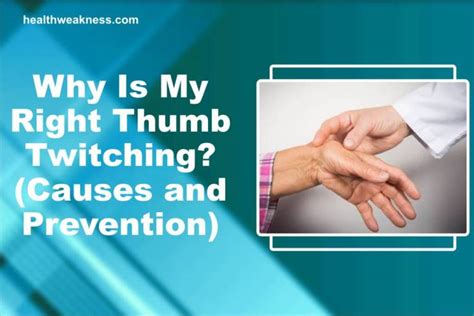 Why are my thumbs twitching. The Underlying Causes of Thumb Twitching: Trauma to nerves: Unhealthy Diet: Dehydration: Drug Side effects: Excessive exercise: Diseases: Symptoms to watch out … 