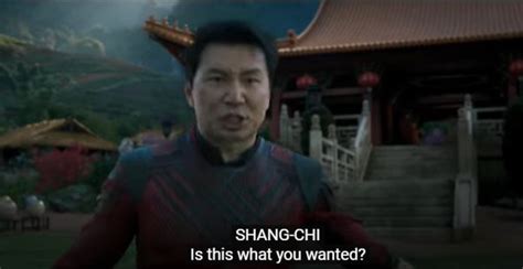 Why are people hating on Shang-Chi? The movie was epic.