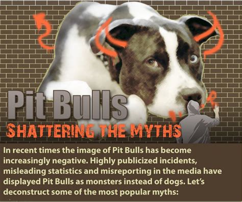 Why are pitbulls so dangerous. Pit bulls are genetically wired to kill other dogs. T he pit bull's unusual breeding history has produced some bizarre behavioral traits, de- scribed by The Economist's science editor in an article published a few years ago, at the peak of a heated British controversy over dangerous dogs that saw the pit bull banned in England. First, … 