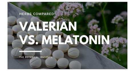 Why can't you take valerian root and melatonin together. Things To Know About Why can't you take valerian root and melatonin together. 