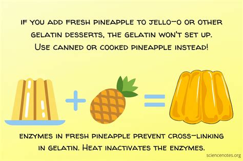 Why can cooked pineapple be used in gelatin desserts? - Quora