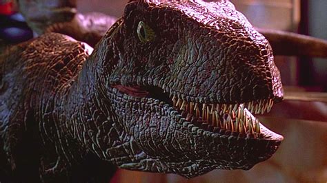 Why did Jurassic Park make velociraptors big and scary when they were …