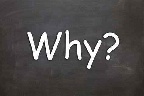 Why do. Learn how to use why as a question word, a response, a reason, a request, a shock, a surprise, or an expression of annoyance in different contexts. Find out the rules and … 
