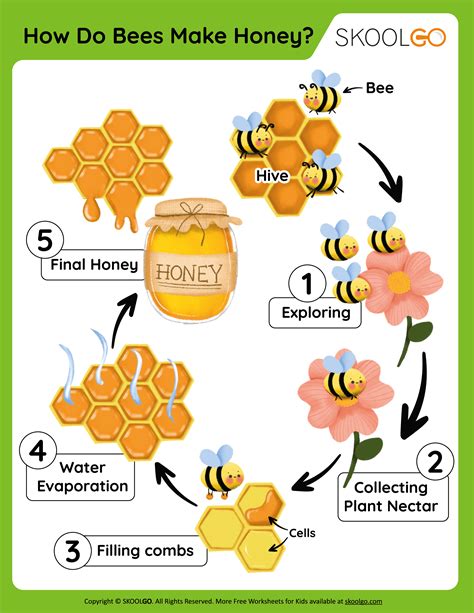 Why do bees make honey. Things To Know About Why do bees make honey. 