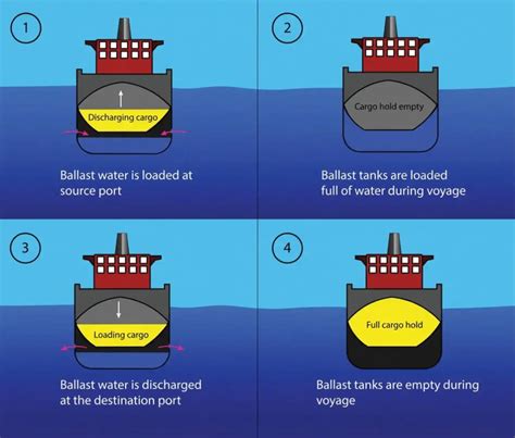 Why do gliders carry ballast