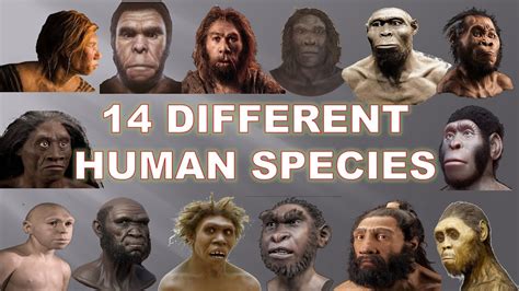 Why do humans exist. It’s safe to assume a lot of people reacting to Allen's post also wanted to know the answer to the question that he posed as a statement: “If we evolved from apes why are there still apes.”. The short answer is that "we didn't evolve from any of the any animals that are alive today,” says Zach Cofran, an anthropologist at Vassar College. 