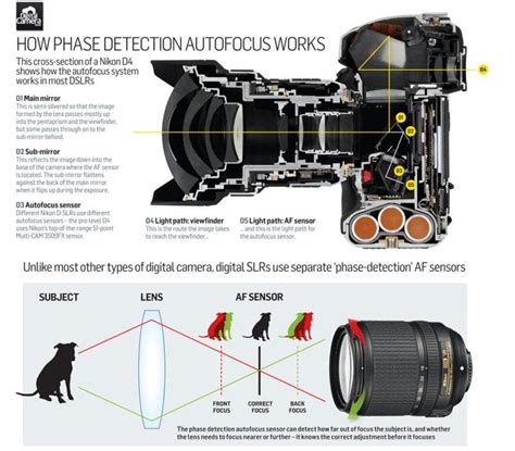 Why do mirrorless cameras have poorer autofocus that …