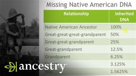 Why do people fake Indigenous ancestry?
