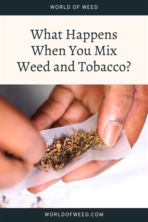 Why do some people mix weed with tobacco?