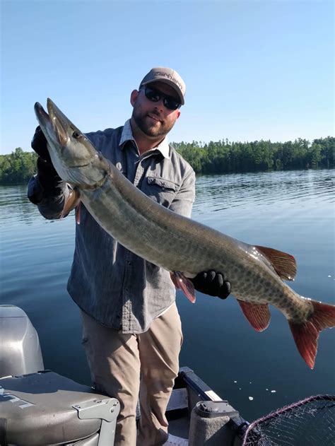 Why do they keep putting muskies in our small lakes