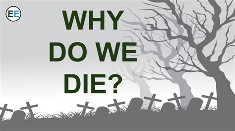 Why do we die. We must die eventually, he suggests, because humans have a body design that evolved to hang in there long enough for us to live long enough to … 