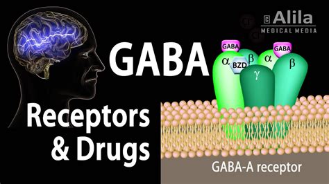 Why does GABA make me feel so good