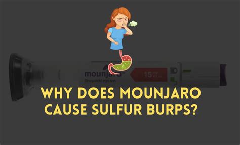 Why does mounjaro cause sulfur burps. Once in a great while I'll feel a little nausea, but I don't know if that's due to a sensitive stomach or the medication. I only really got them for a day or two when I went up. To be honest I'd pay the price of sulfur burps to be thinner lol. 14K subscribers in the liraglutide community. This is a sub for patients taking liraglutide (Brand ... 
