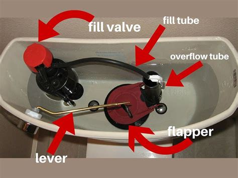 Why does my toilet keep running. After you flush your toilet, water should leak out of the tank and into the bowl. Then, the tank re-fills with water — once the tank is done filling, you should stop hearing the sound of flowing water. If your tank starts running when no one is in the bathroom, it could indicate that one of the following problems is present: Your valve is ... 