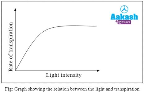 Why does transpiration increase with light intensity. Aug 17, 2025 · Light...