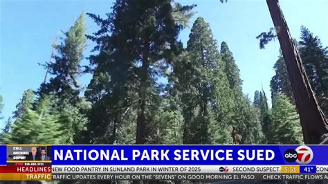 Why environmentalists are suing the National Park Service to prevent it from planting trees