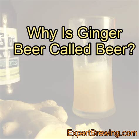 Why ginger beer called beer? - City Beat Beer