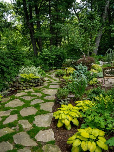 Why hostas go green - Houzz