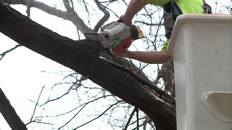 Why is Austin behind on tree trimming? Audit calls for more accurate data, planning