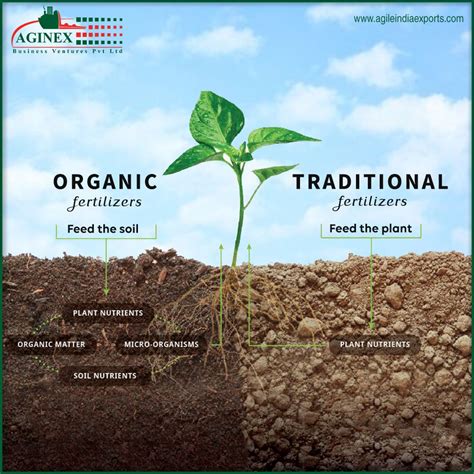 Why is Organic Fertilizer Better for Crops and Soil …