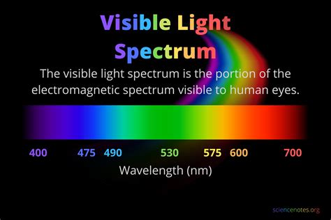 Why is a wavelength of 600 nm used to measure growth …