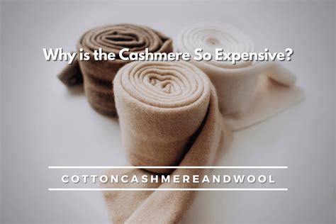 Why is cashmere so expensive. Aug 16, 2019 ... Why Cashmere Is So Expensive ... Cashmere is one of the most sought-after fibres in the world. Its fine hairs are softer, lighter, and can be up ... 