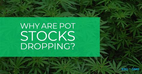 Analysts and experts say cannabis stocks still have plenty of room to run. Cannabis growth rates in the U.S. market are robust. Canopy is the biggest name in Canada, has major exposure to the U.S .... 