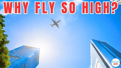 Why is flying so important