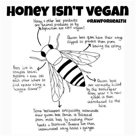 Why is honey not vegan. Veganism is an individual and collective undertaking that aims at eliminating, as far as is possible, all forms of animal exploitation. It involves, amongst other practices, the adoption of a diet free from meat, dairy, eggs, and any other animal-derived product. In recent years, the vegan movement and diet have been growing in popularity. 