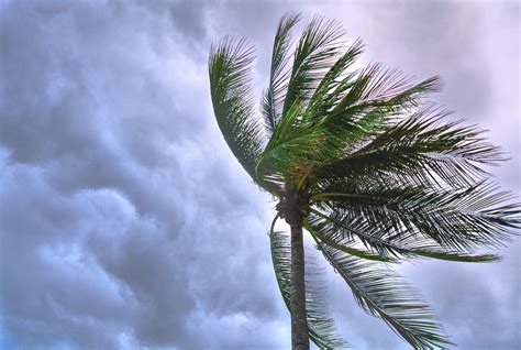 Why is it so windy? What