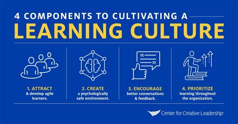 Why is learning culture important