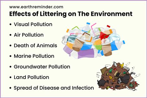 Why is littering bad. Apr 17, 2018 · The soil absorbs the toxins litter creates and affects plants and crops. The agriculture is often compromised and fails to thrive. Animals then eat those crops or worms that live in the soil and may become sick. Humans who eat either the crops or the animals feeding on the infected agriculture can also become ill. 