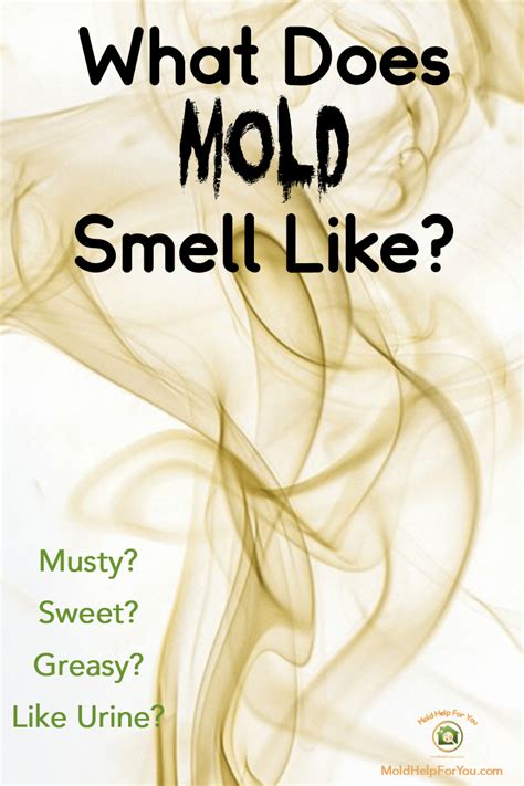 Why is mold helpful? - Answers