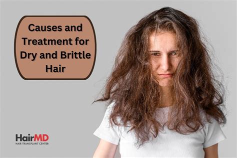 Why is my hair so dry and brittle? - interviewarea-yt.afphila.com