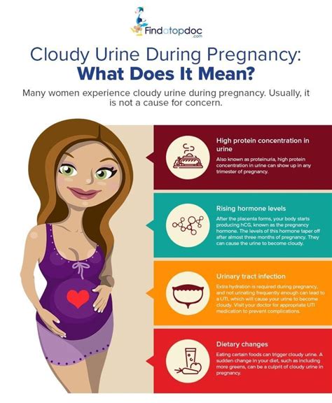 Why is my pee cloudy when pregnant