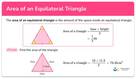Why is the area of an equilateral triangle different.  Equilateral Triangles form the bed...